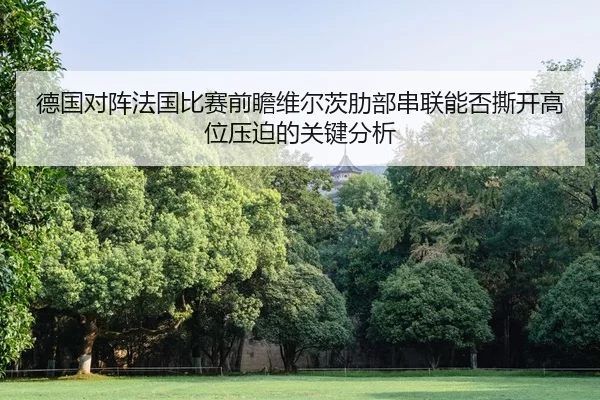 德国对阵法国比赛前瞻维尔茨肋部串联能否撕开高位压迫的关键分析